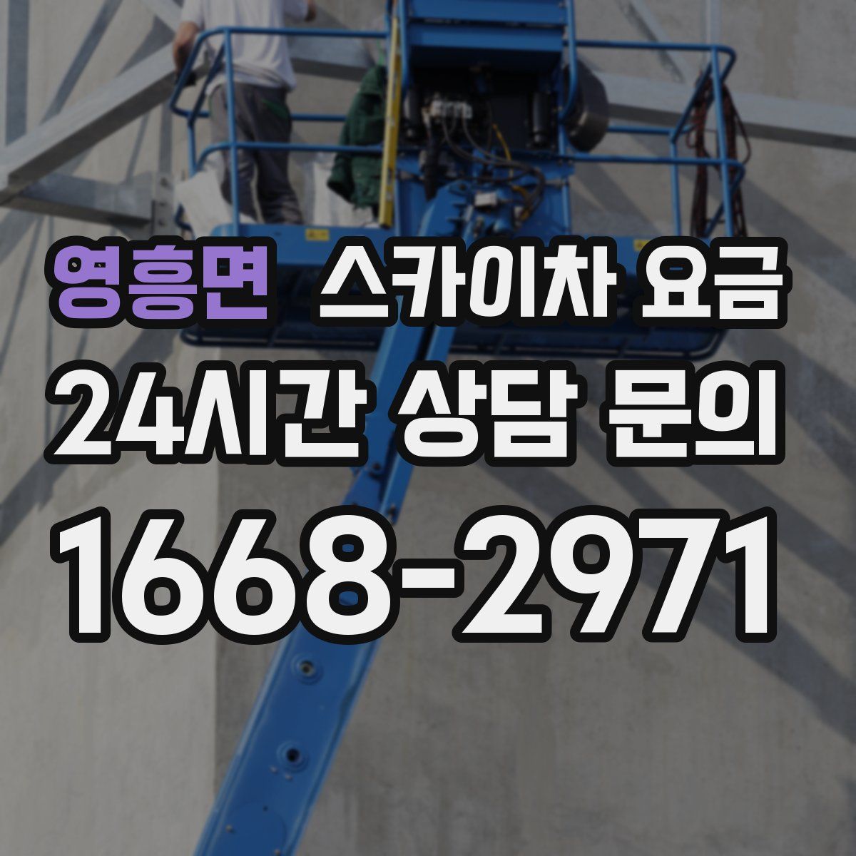 영흥면 스카이차 요금