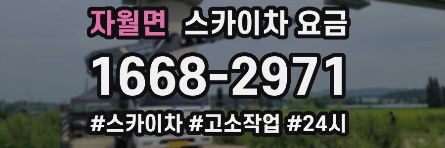 자월면 스카이차 요금