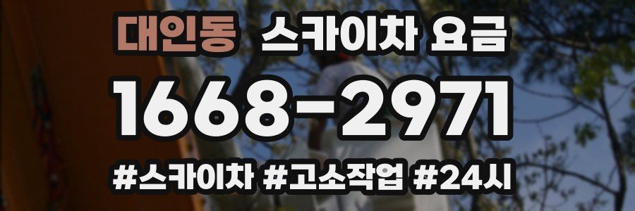 대인동 스카이차 요금