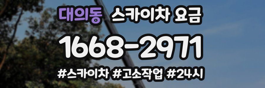 대의동 스카이차 요금
