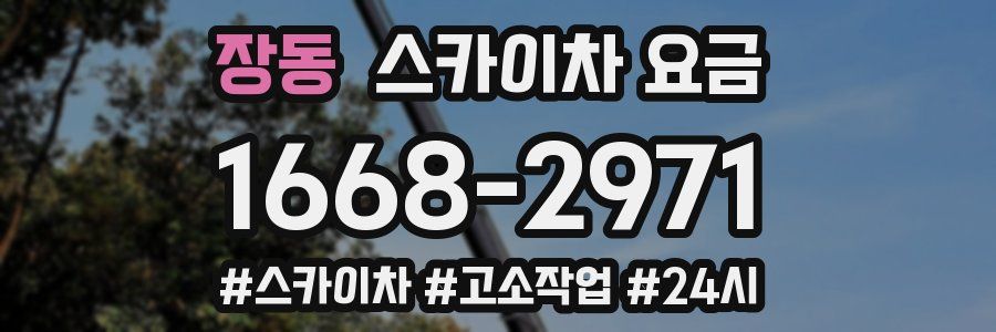 장동 스카이차 요금
