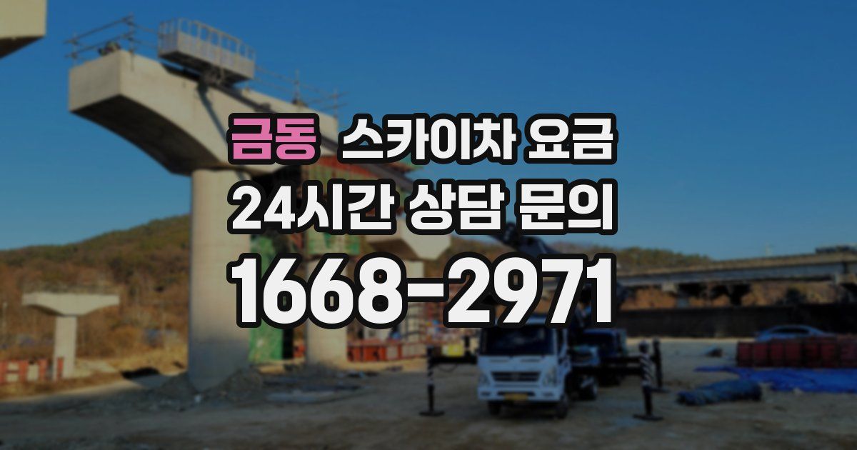 금동 스카이차 요금