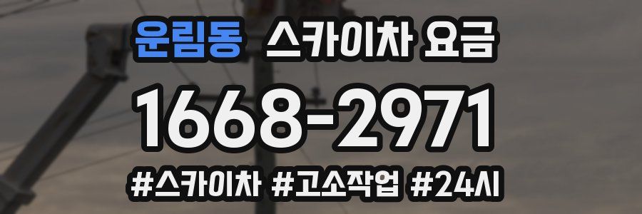 운림동 스카이차 요금