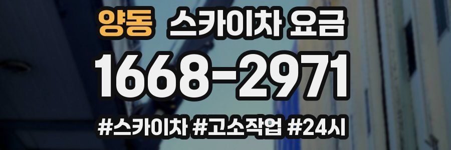 양동 스카이차 요금