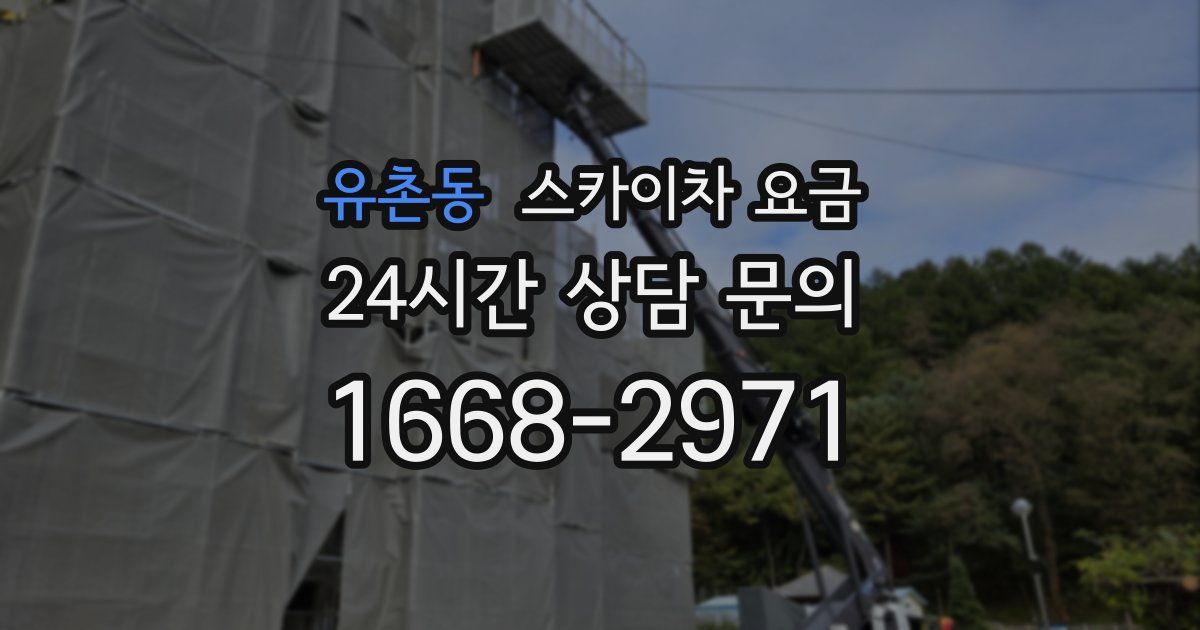 유촌동 스카이차 요금