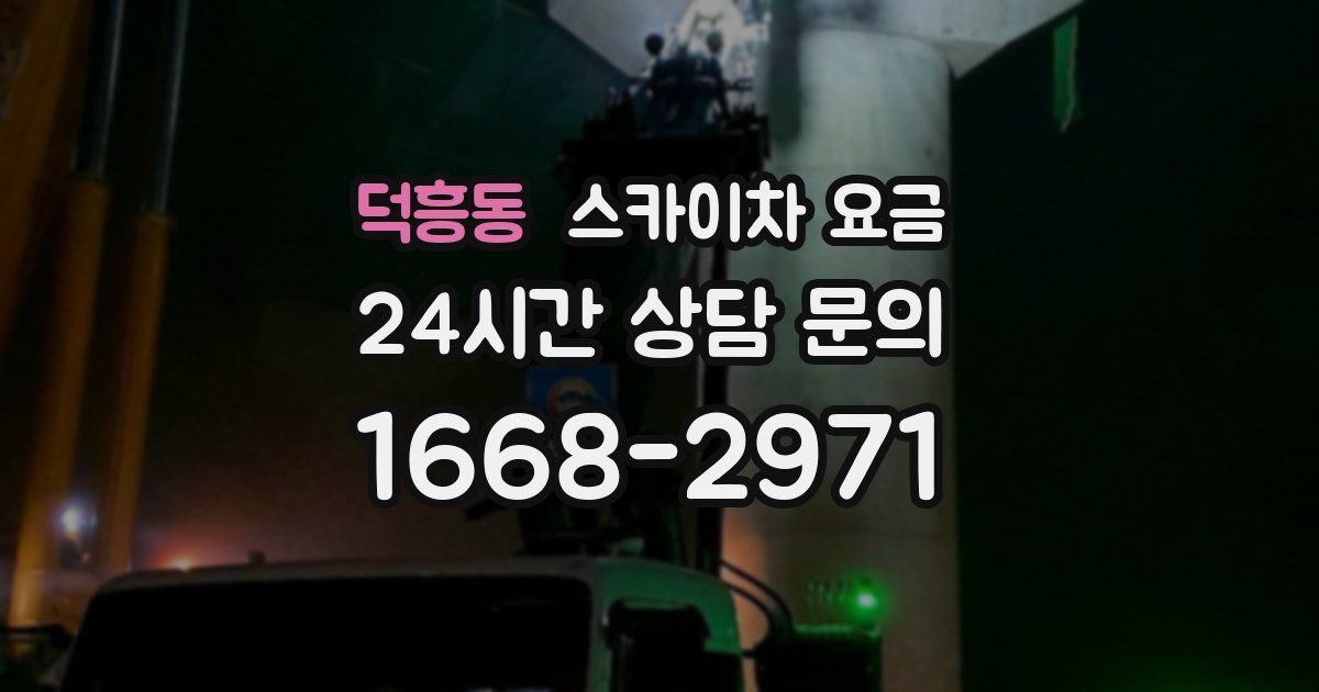 덕흥동 스카이차 요금