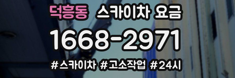 덕흥동 스카이차 요금