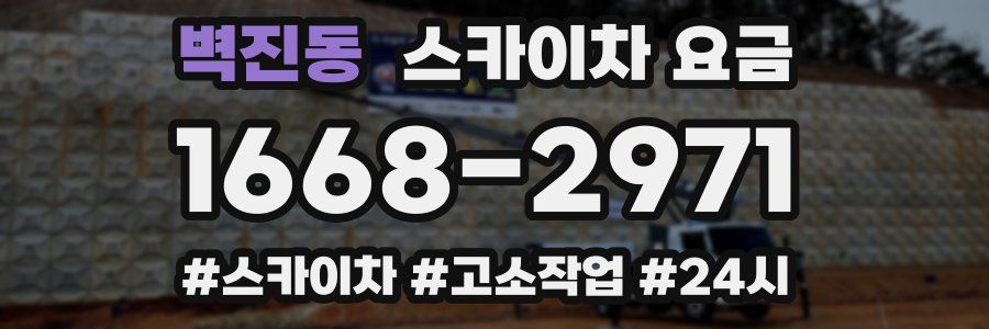 벽진동 스카이차 요금