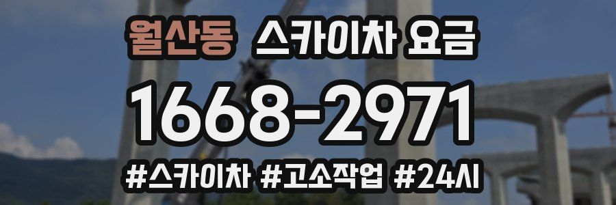 월산동 스카이차 요금