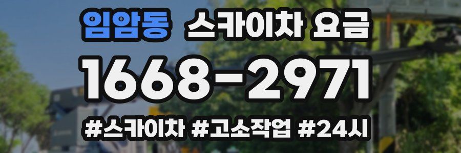 임암동 스카이차 요금