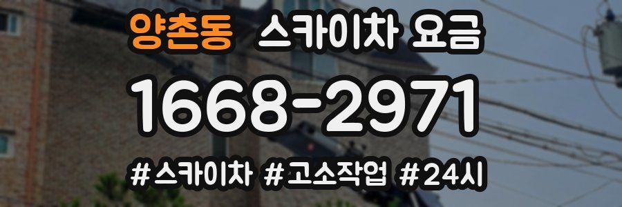 양촌동 스카이차 요금