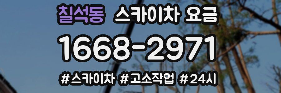 칠석동 스카이차 요금