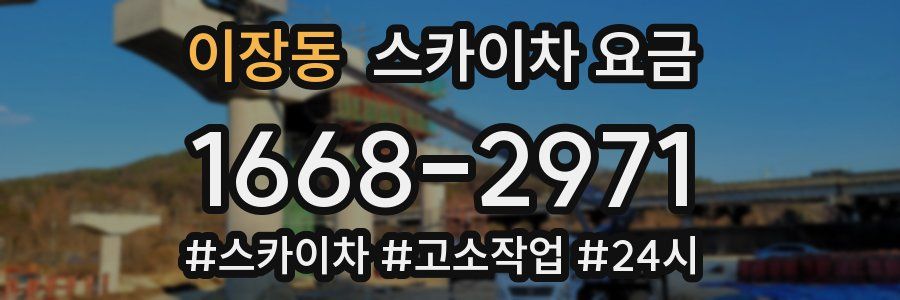 이장동 스카이차 요금