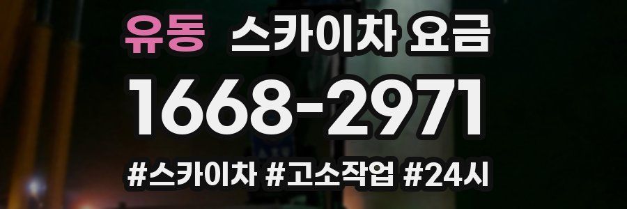 유동 스카이차 요금