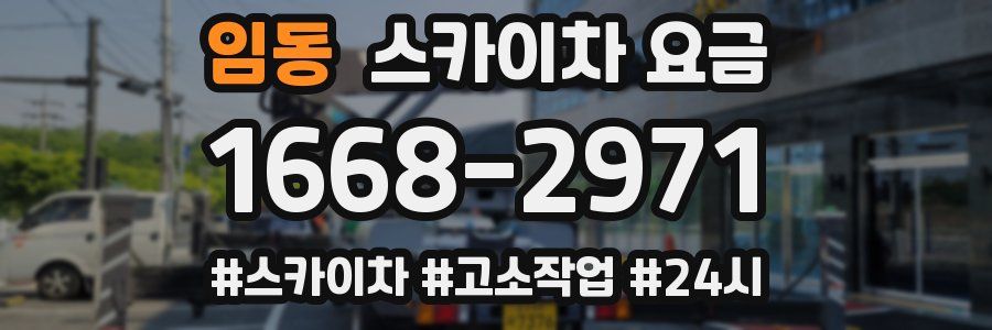 임동 스카이차 요금