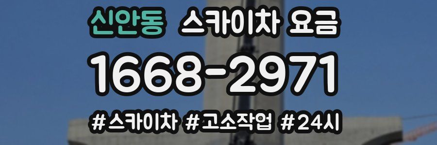 신안동 스카이차 요금