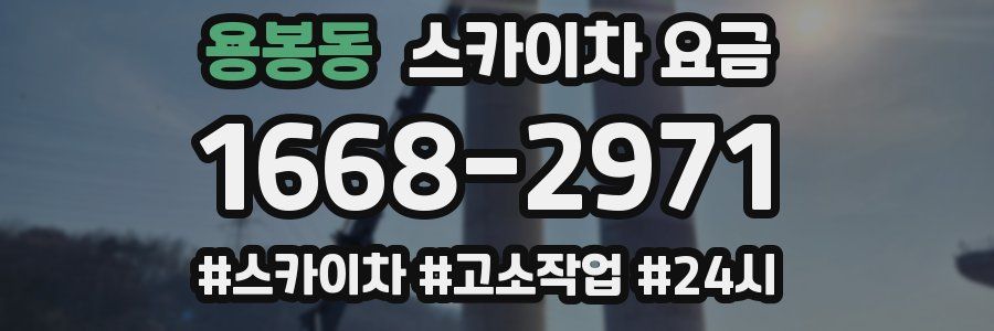 용봉동 스카이차 요금