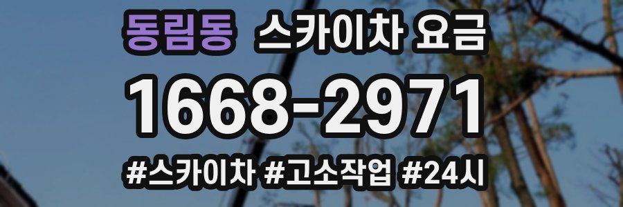 동림동 스카이차 요금