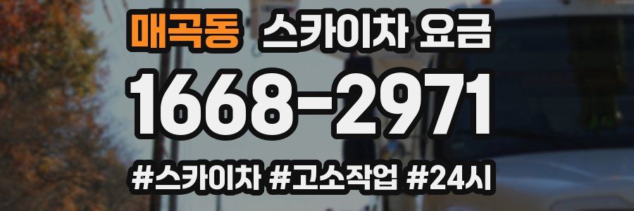 매곡동 스카이차 요금