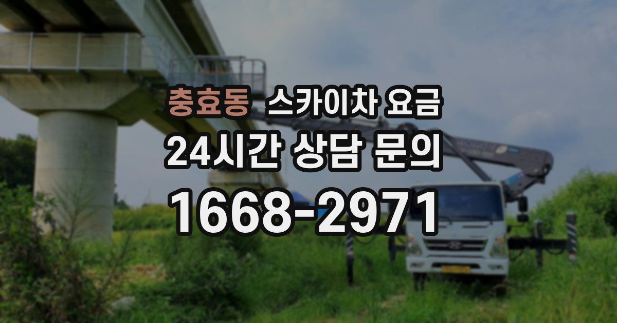 충효동 스카이차 요금