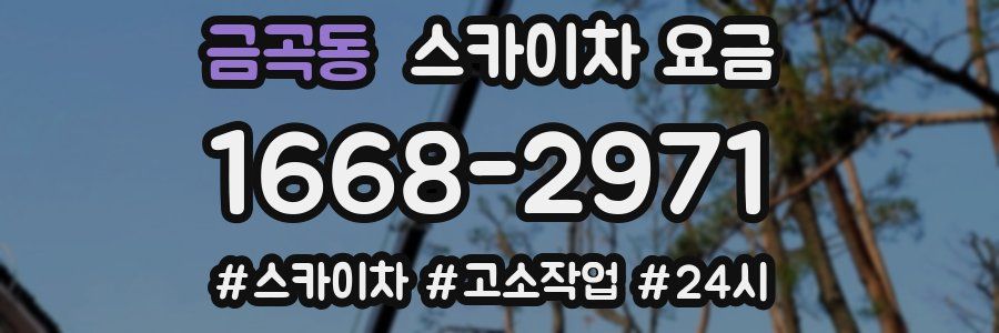 금곡동 스카이차 요금