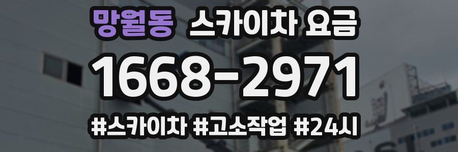 망월동 스카이차 요금