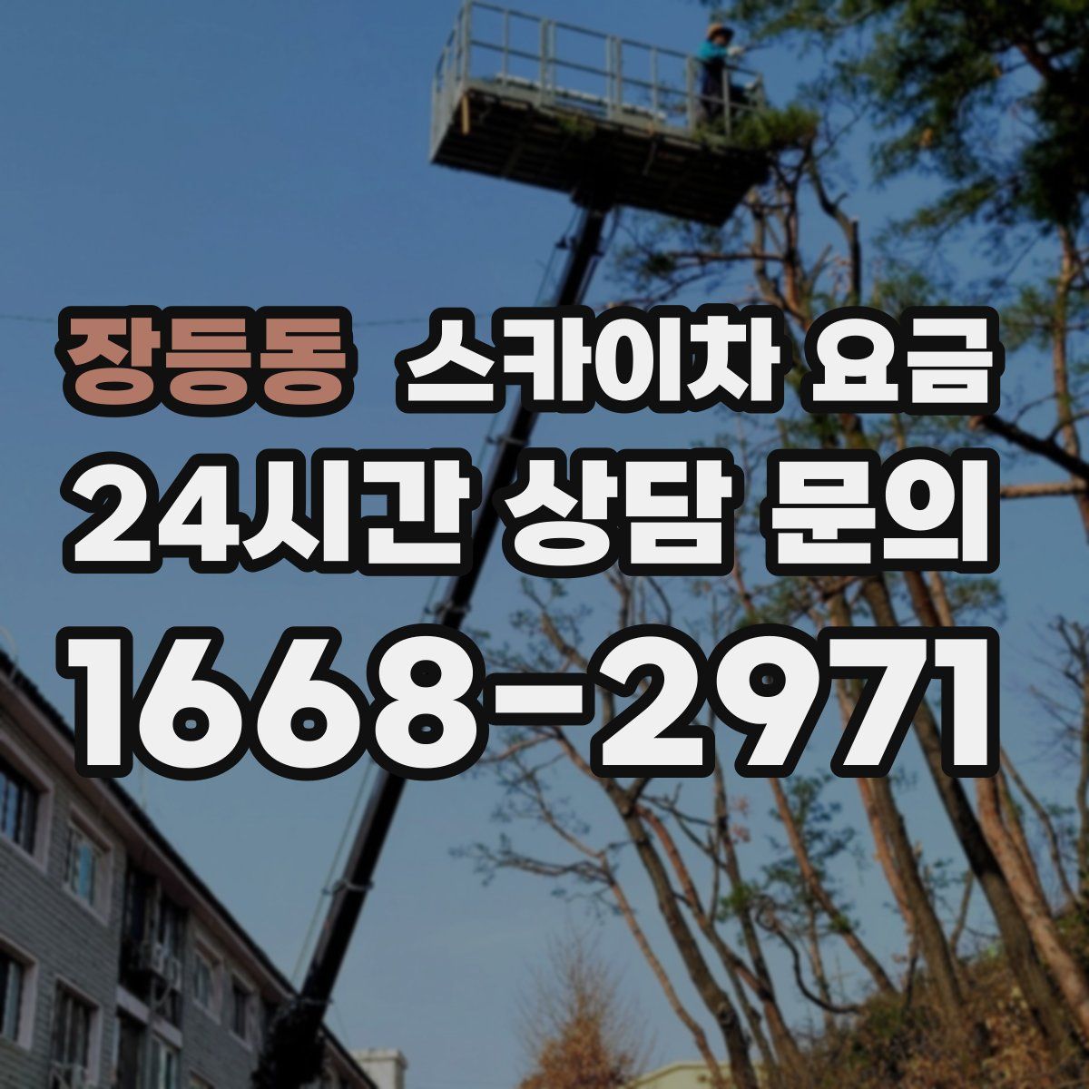 장등동 스카이차 요금