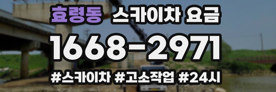 효령동 스카이차 요금