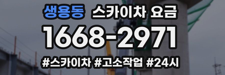 생용동 스카이차 요금