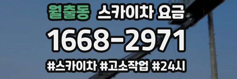 월출동 스카이차 요금