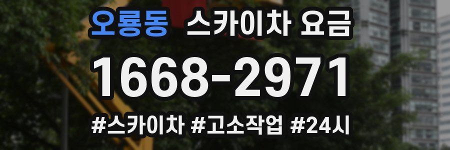 오룡동 스카이차 요금