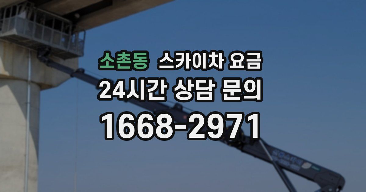 소촌동 스카이차 요금