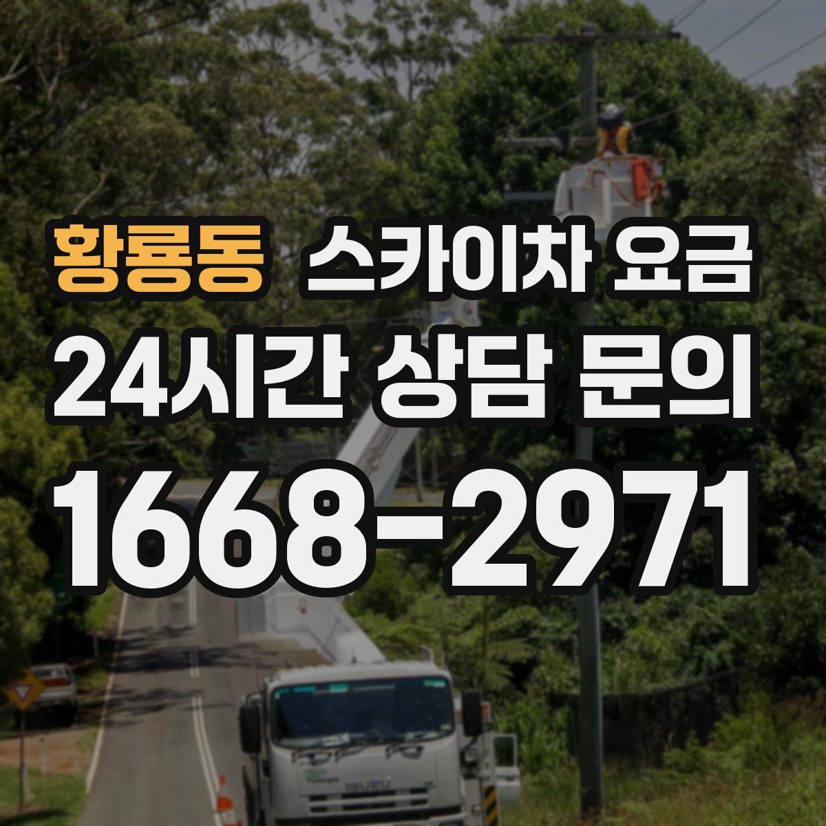 황룡동 스카이차 요금