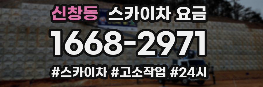 신창동 스카이차 요금