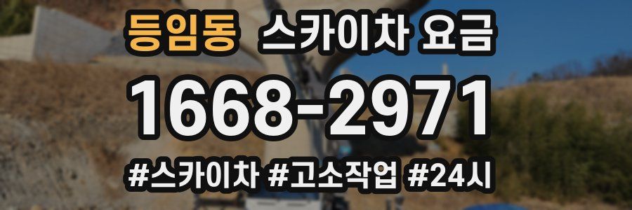 등임동 스카이차 요금