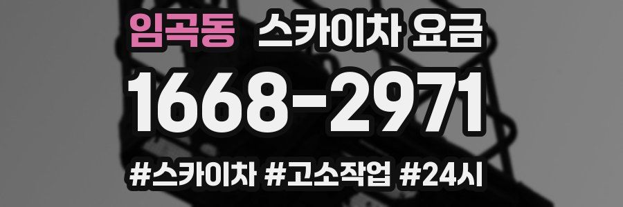 임곡동 스카이차 요금