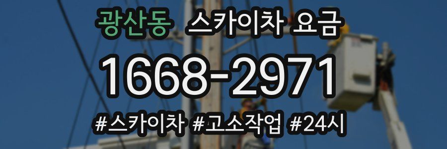 광산동 스카이차 요금
