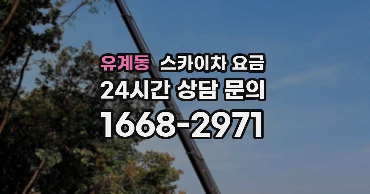 유계동 스카이차 요금