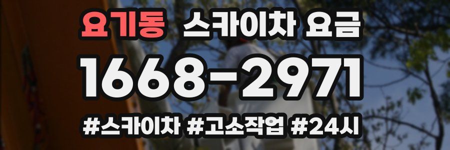 요기동 스카이차 요금