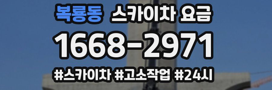 복룡동 스카이차 요금