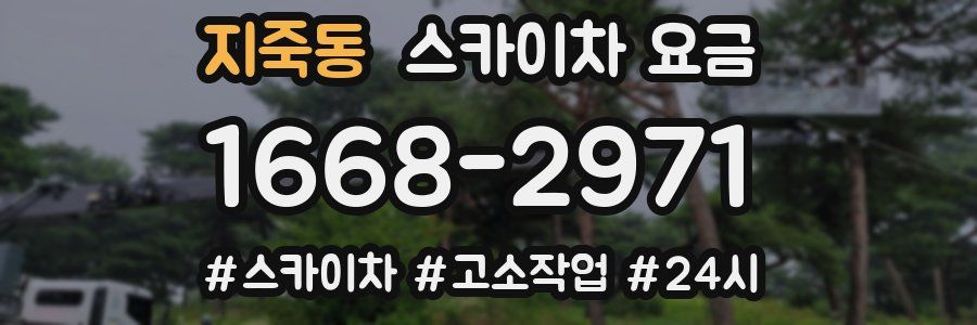 지죽동 스카이차 요금