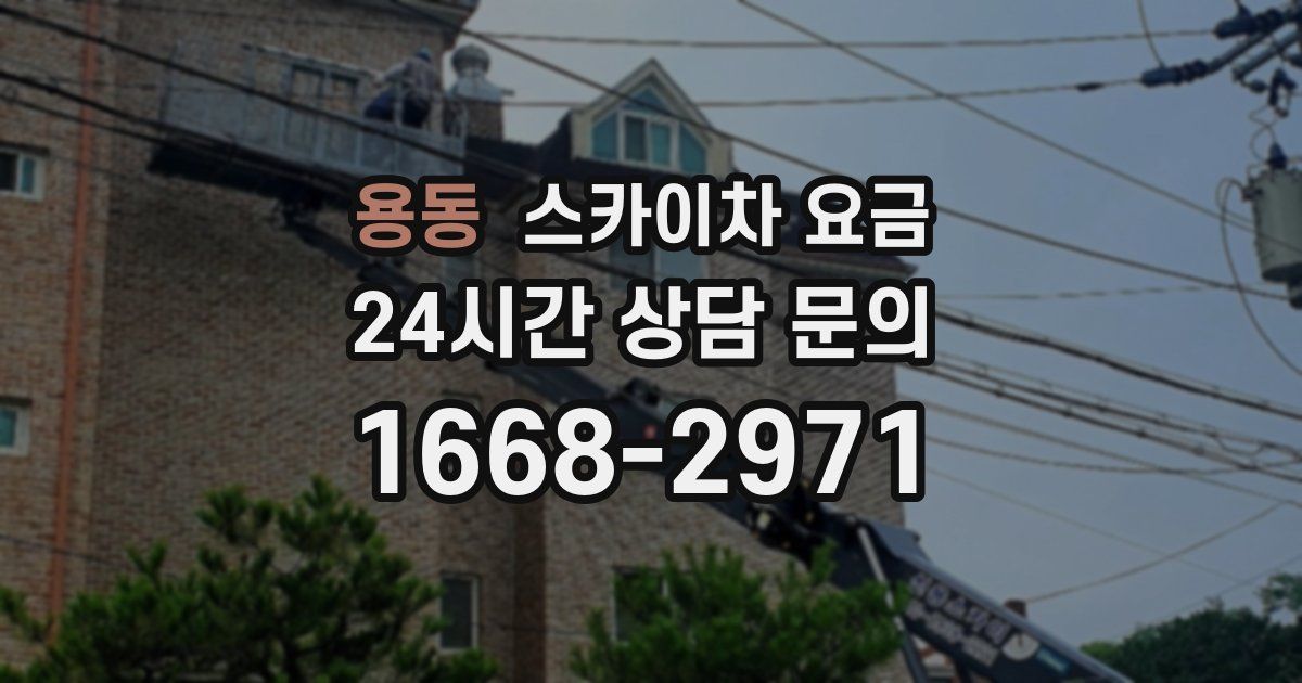 용동 스카이차 요금