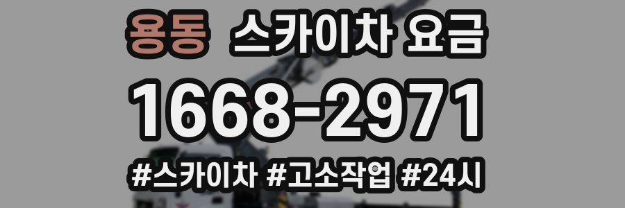 용동 스카이차 요금