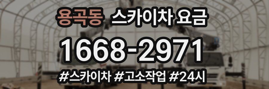 용곡동 스카이차 요금