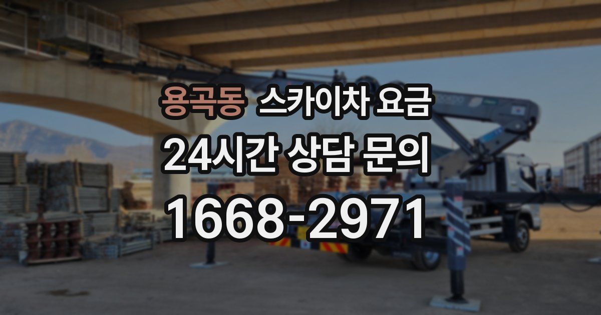 용곡동 스카이차 요금