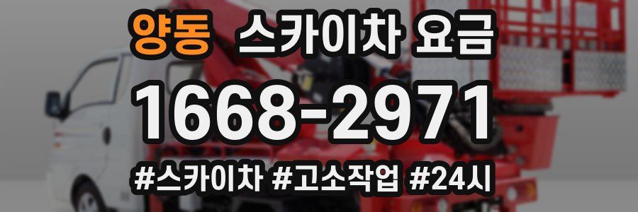 양동 스카이차 요금