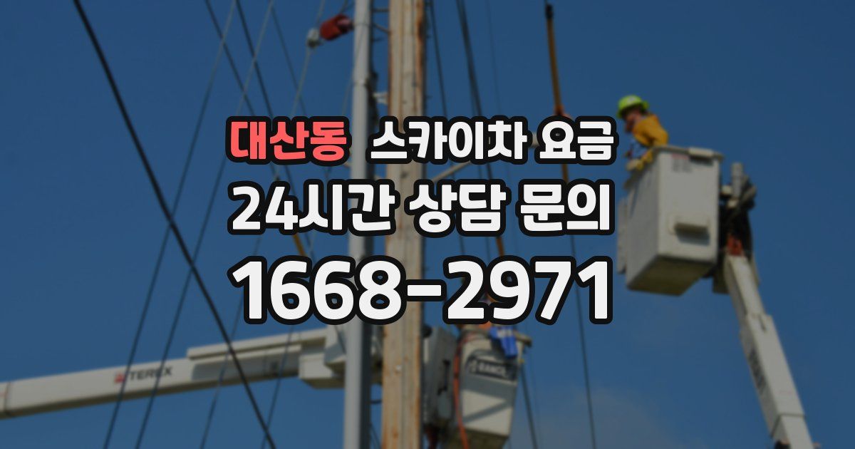 대산동 스카이차 요금