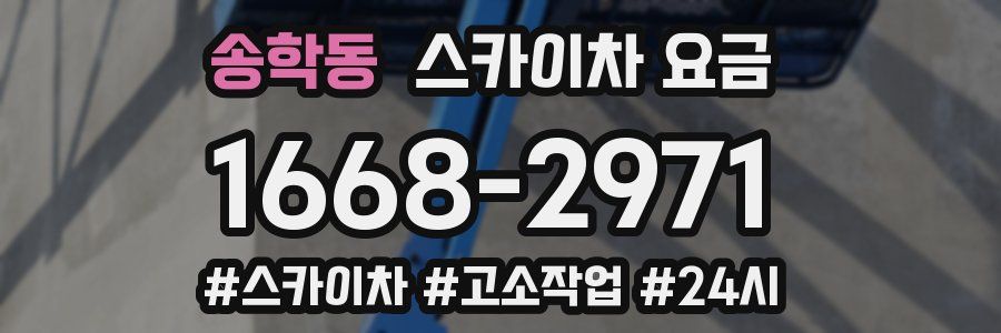 송학동 스카이차 요금