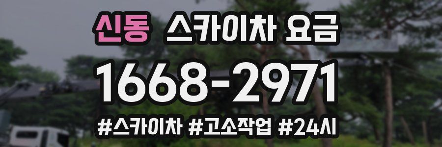 신동 스카이차 요금