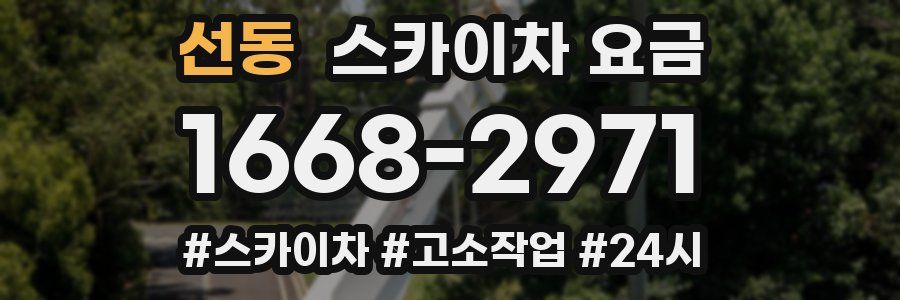 선동 스카이차 요금